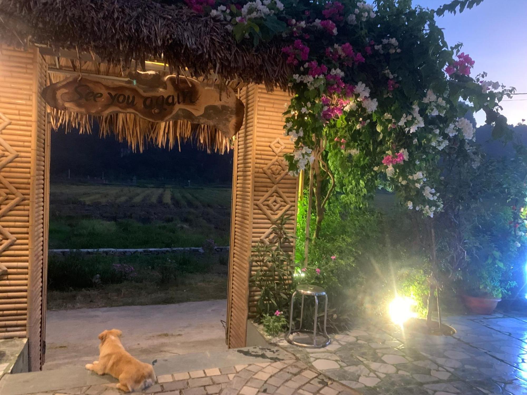Tam Coc Minh Hung Homestay Ninh Binh Eksteriør billede