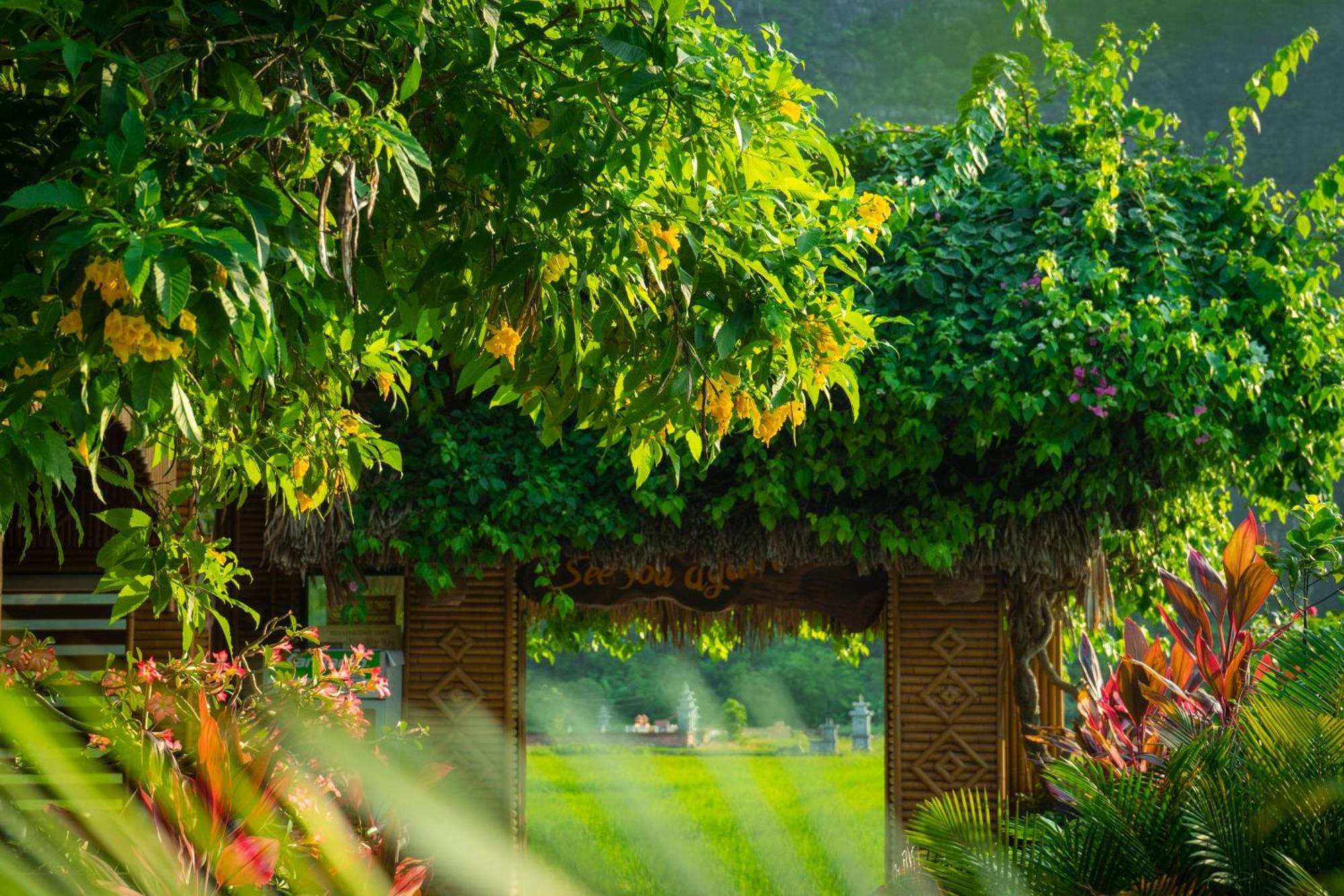 Tam Coc Minh Hung Homestay Ninh Binh Eksteriør billede