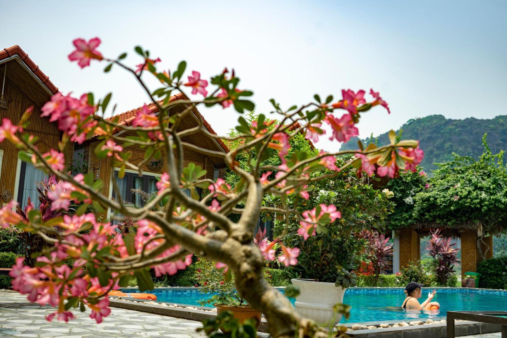 Tam Coc Minh Hung Homestay Ninh Binh Eksteriør billede