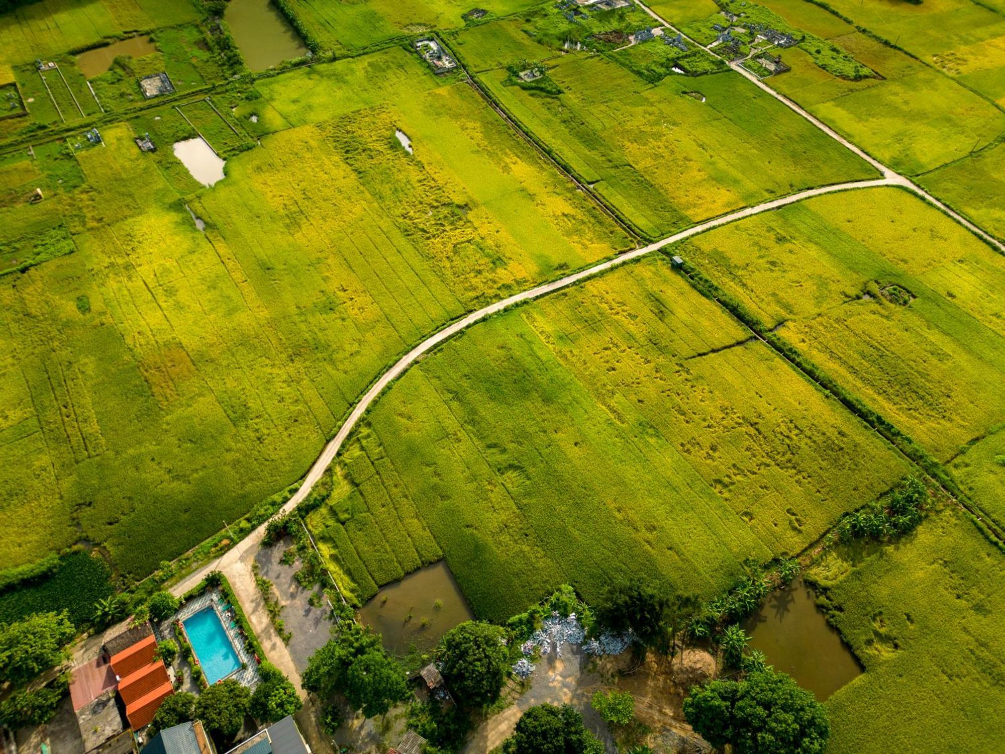 Tam Coc Minh Hung Homestay Ninh Binh Eksteriør billede