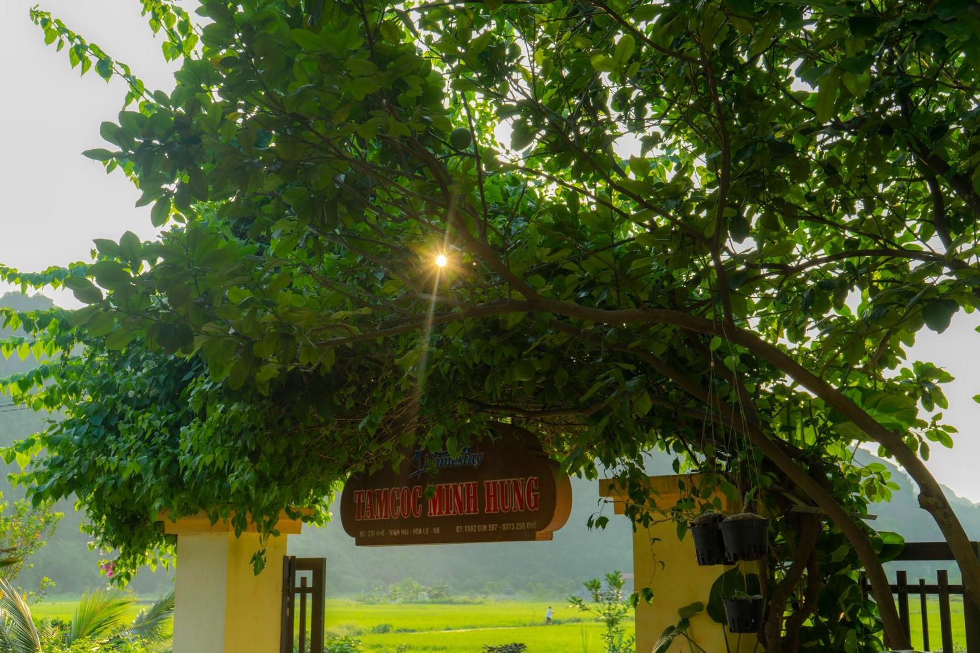 Tam Coc Minh Hung Homestay Ninh Binh Eksteriør billede